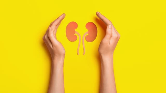 Điều trị thận ứ nước theo nguyên nhân gây bệnh