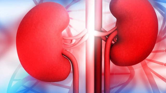 Nguyên nhân giãn đài bể thận: Hiểu rõ để điều trị hiệu quả từ sớm