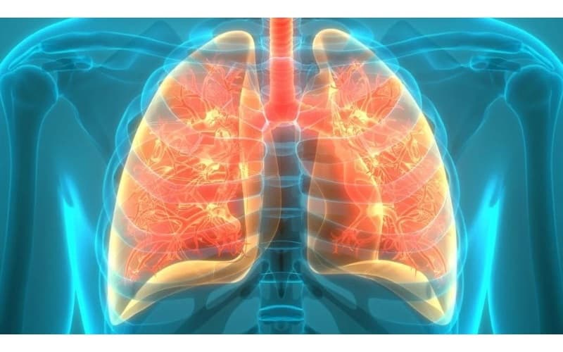 triệu chứng viêm phế quản 