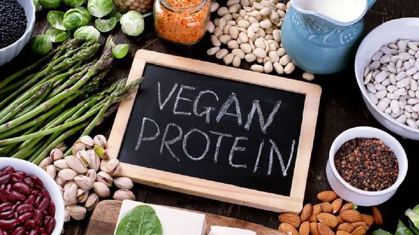 Protein từ thực vật và ứng dụng trong dinh dưỡng