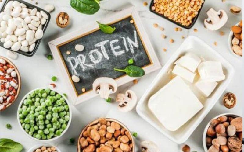 Protein từ thực vật có ở đâu