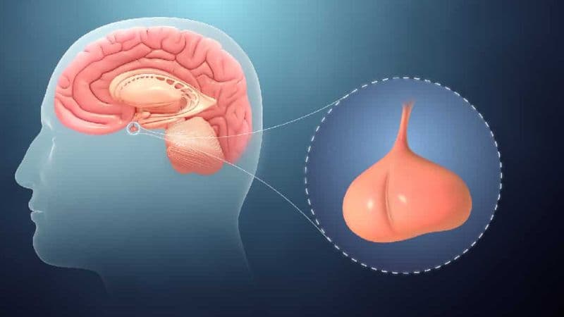 Rối loạn tuyến yên là gì?