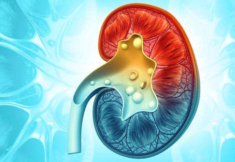 Các nhóm nguyên nhân giãn đài bể thận thường gặp