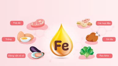 Thực đơn cho trẻ thiếu máu thiếu sắt – Cha mẹ cập nhật ngay
