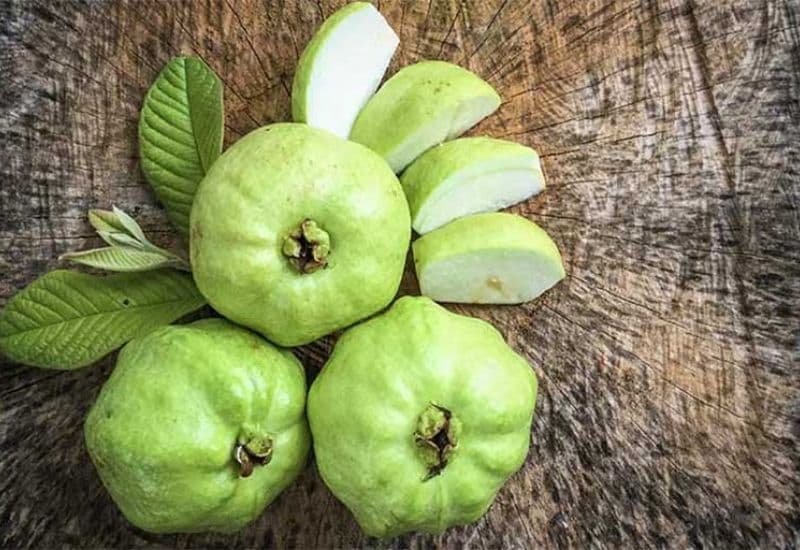 Trào ngược dạ dày ăn ổi được không