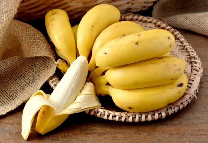 Trào ngược dạ dày có ăn được chuối không