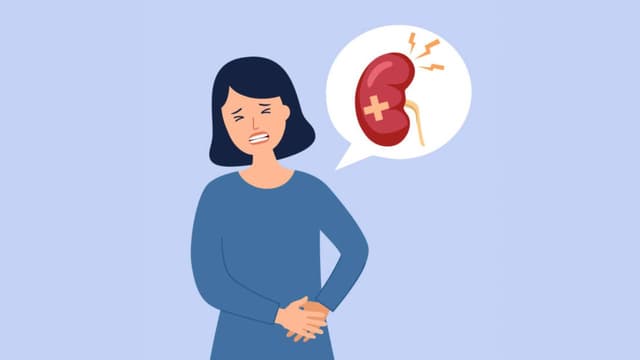 Thận ứ nước độ 1 có hết không? Lý giải chi tiết và hướng xử lý