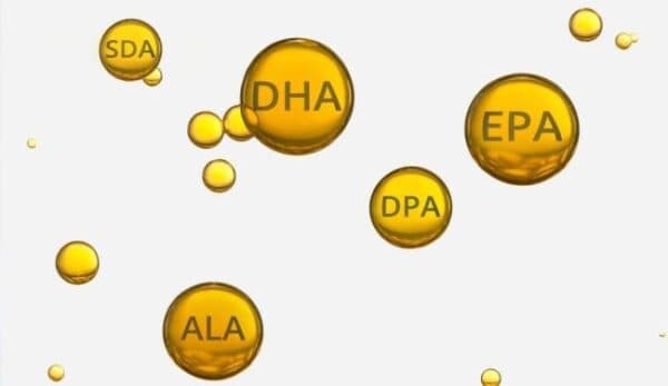 Omega 3, nhất là DHA, rất quan trọng để duy trì và nâng cao chức năng não bộ.