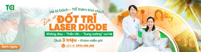 Middle2 &#8211; Banner Trĩ