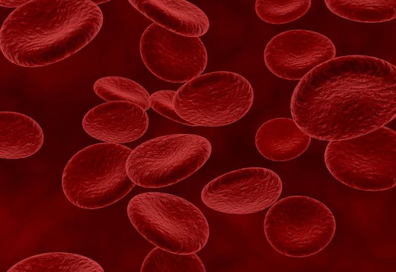 Do vai trò trong việc sản xuất hemoglobin, vitamin B6 là yếu tố quan trọng giúp ngăn ngừa thiếu máu do thiếu sắt.