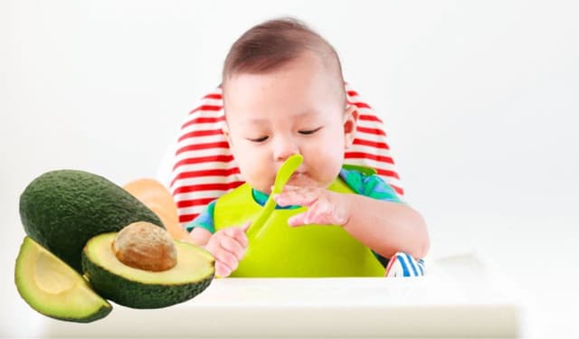 Bé ăn bơ có tốt không? Lợi ích bất ngờ mẹ nên biết