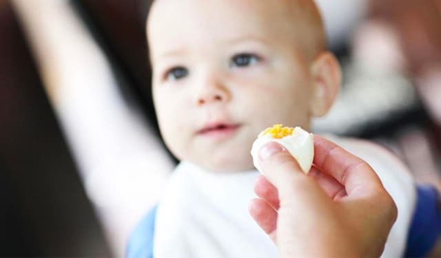 7 Sai lầm phổ biến khi cho bé ăn trứng mà cha mẹ nên tránh