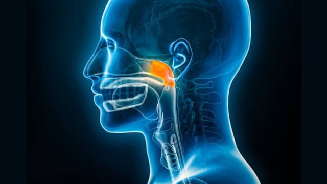 Bệnh ung thư vòm họng: Dấu hiệu, nguyên nhân và hướng điều trị