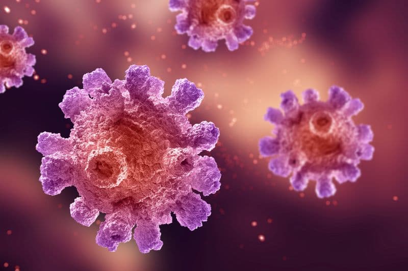 Virus HPV là một nhóm virus có hơn 200 chủng khác nhau, trong đó một số chủng được gọi là 