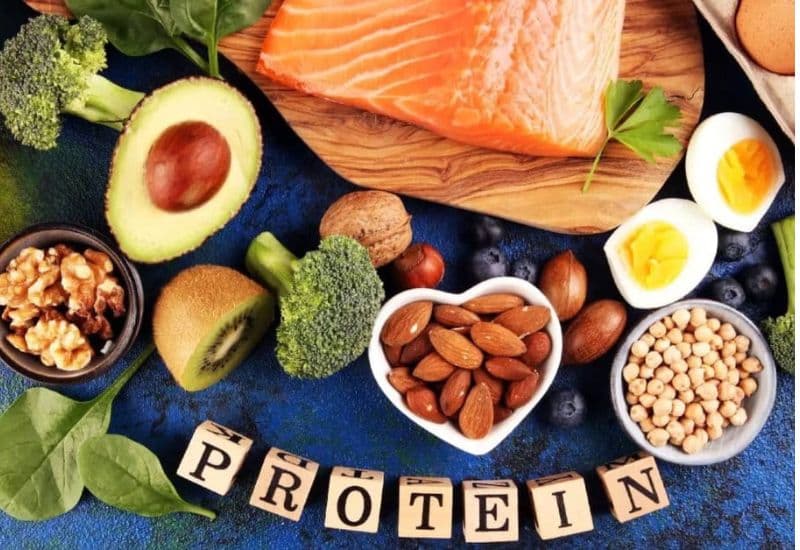 Bổ sung protein cho bé một cách đa dạng và phù hợp với thể trạng từng trẻ là yếu tố rất quan trọng cho sự phát triển toàn diện.