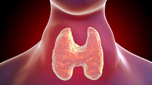 Bướu giáp Basedow: Dấu hiệu nhận biết và cách điều trị hiệu quả