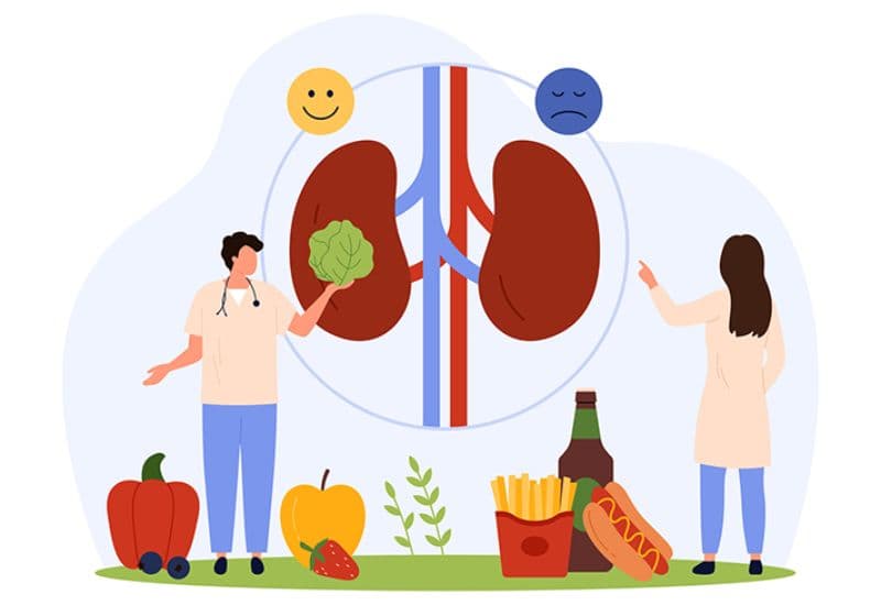Tổng quan về thận ứ nước độ 3 và vai trò của chế độ ăn uống