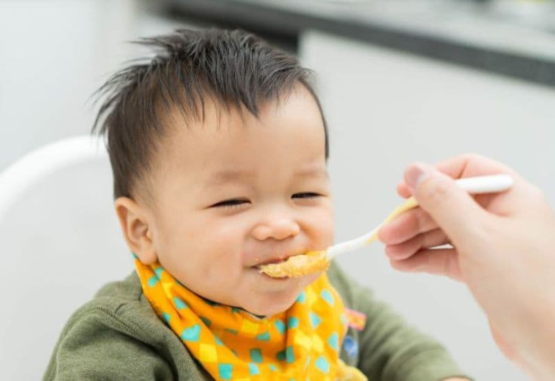 Cho bé ăn yến mạch đúng cách cần thực đơn hợp lý và cân đối.