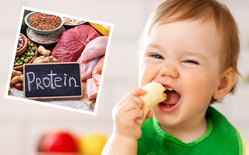 Protein là thành phần không thể thiếu để duy trì sức khỏe và sự sống.