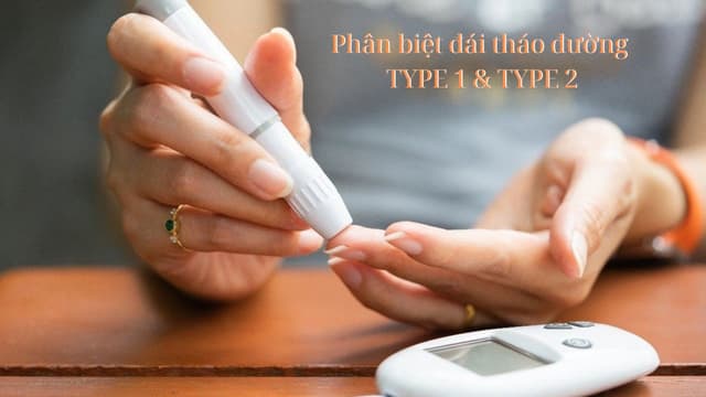 Phân biệt đái tháo đường type 1 và type 2, hướng dẫn kiểm soát