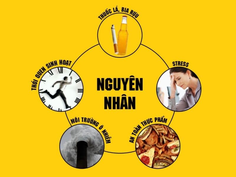 Có nhiều nguyên nhân khiến dạ dày bị đau, viêm.