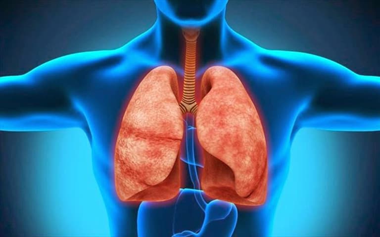 Trào ngược dạ dày thực quản có thể là một trong các bệnh lý gây đau rát vùng xương ức.