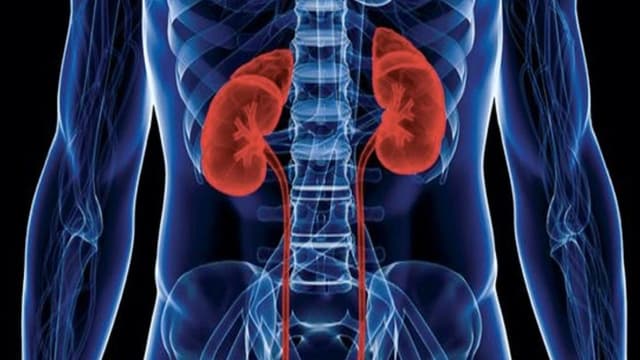 Mức độ nguy hiểm của giãn đài bể thận trái độ 3 và phải độ 2