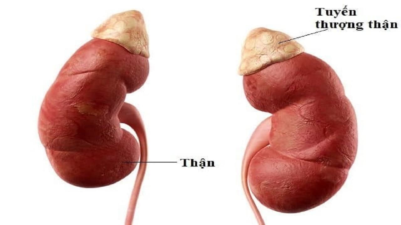 khối u tuyến thượng thận