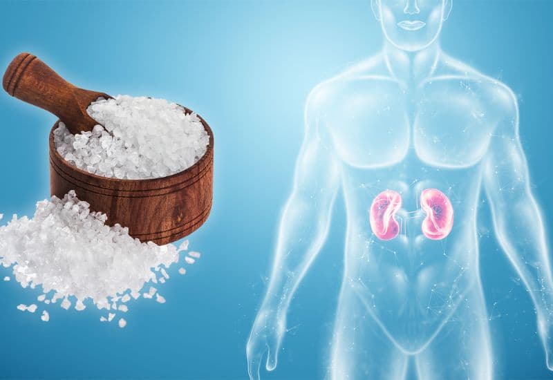 Những lưu ý khi xây dựng thực đơn cho người thận ứ nước độ 3