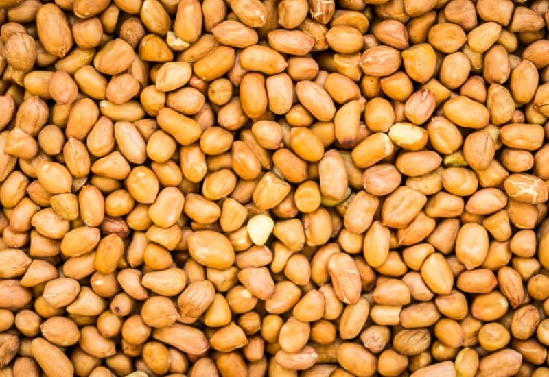 Lạc thuộc họ đậu, là một loại hạt giàu dinh dưỡng. 