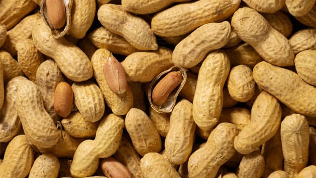 Những vấn đề người bị mỡ máu cần biết khi ăn lạc