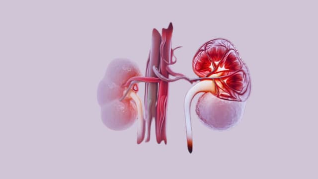 Nguyên nhân thận bị ứ nước đến từ bệnh lý không điều trị dứt điểm