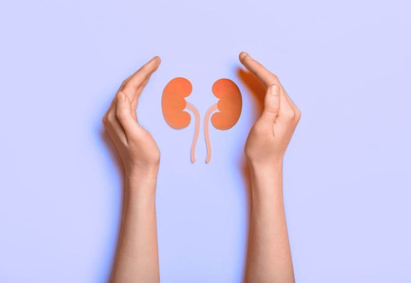 Nguyên nhân thận ứ nước do hẹp khúc nối