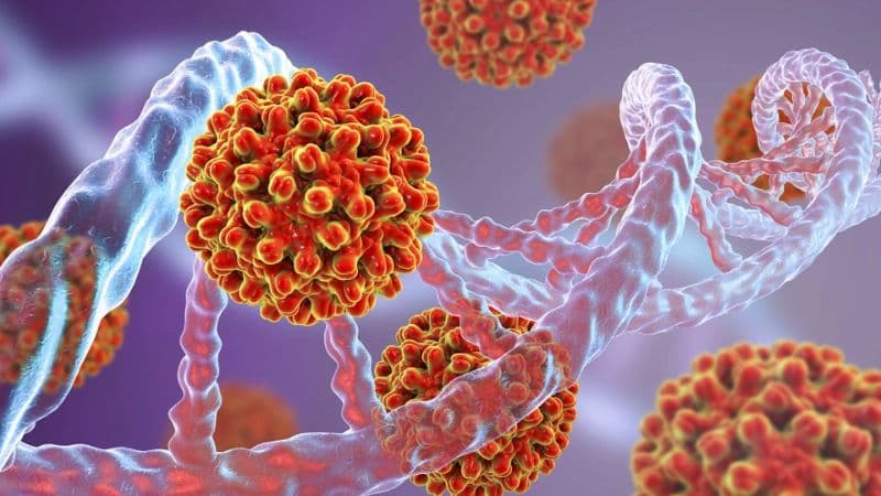 Nguyên nhân xơ gan do virus