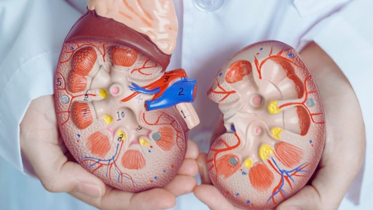 Sỏi tiết niệu và cách điều trị theo từng vị trí