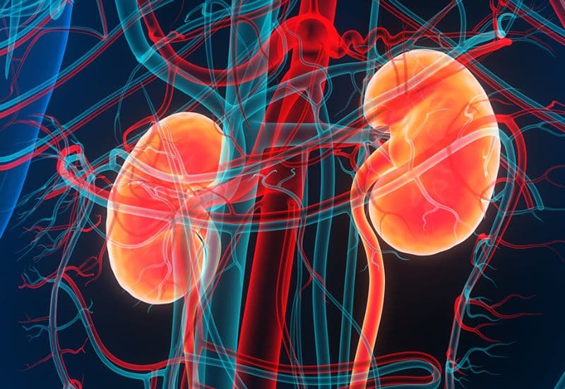 Vì sao việc bỏ qua triệu chứng giãn đài bể thận có thể gây hậu quả nghiêm trọng?