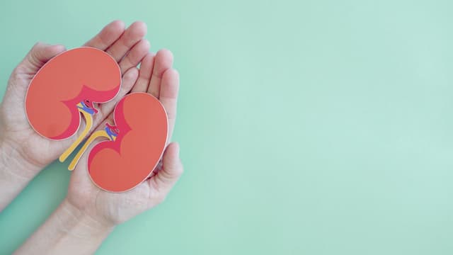 Thận ứ nước do hẹp khúc nối bể thận niệu quản: Cơ chế tiến triển