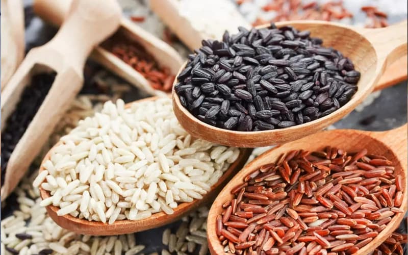 tháp dinh dưỡng cho trẻ mầm non có gì