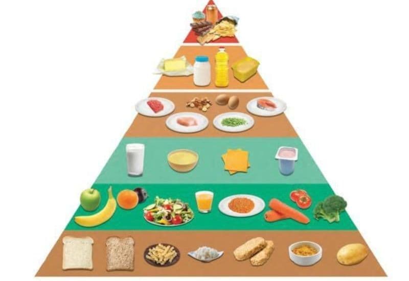 Tháp dinh dưỡng giúp xây dựng chế độ ăn uống cân đối và khoa học.