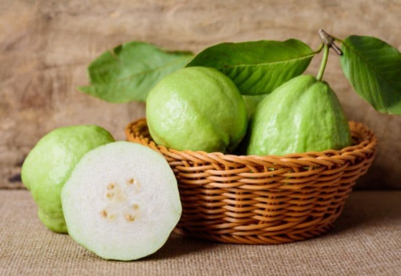 Ăn ổi đúng cách