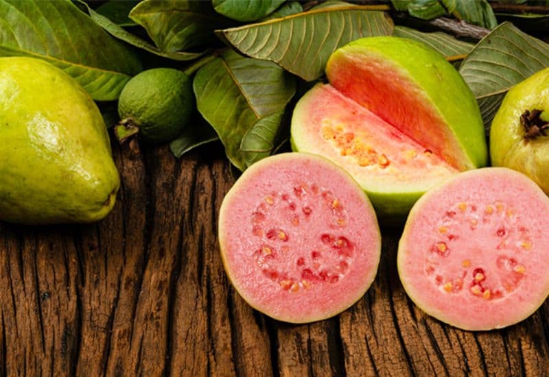 Trào ngược dạ dày có ăn được ổi không