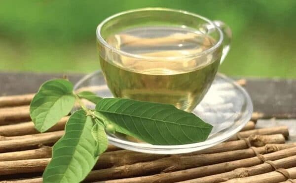 Một trong những lợi ích nổi bật của việc uống nước lá ổi là khả năng hỗ trợ kiểm soát lượng đường trong máu.