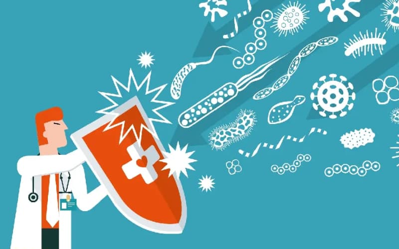 Các vai trò của protein đối với cơ thể