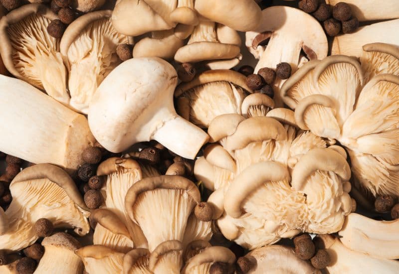 Giải đáp chi tiết thắc mắc: Vitamin D có nhiều trong thực phẩm nào?