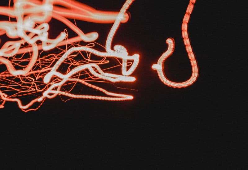 Giải đáp chi tiết thắc mắc: Người cao huyết áp có ăn lươn được không?