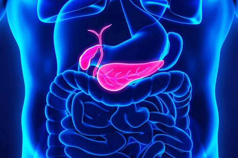 Ung thư tụy là một loại ung thư bắt nguồn từ các mô của tuyến tụy - cơ quan nằm sâu trong bụng, phía sau dạ dày