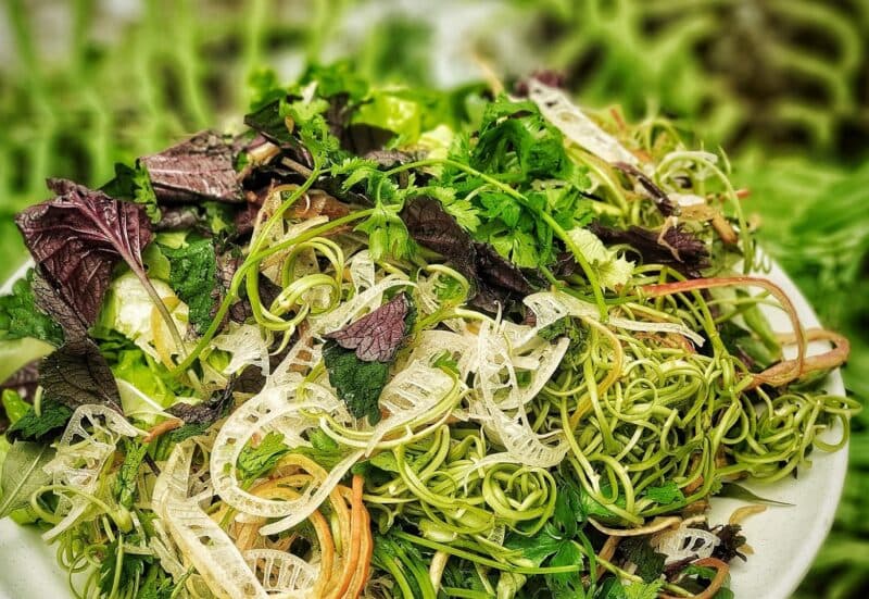 Rau sống nếu nhiễm ấu trùng sán có thể là môi trường trung gian cho loại ký sinh trùng này di chuyển vào cơ thể