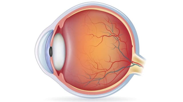 Giác mạc dẹt và những điều cần biết