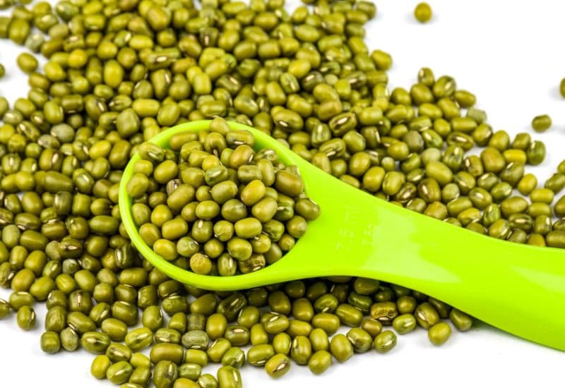 Giải đáp chi tiết thắc mắc: Huyết áp cao có ăn được ngải cứu không?