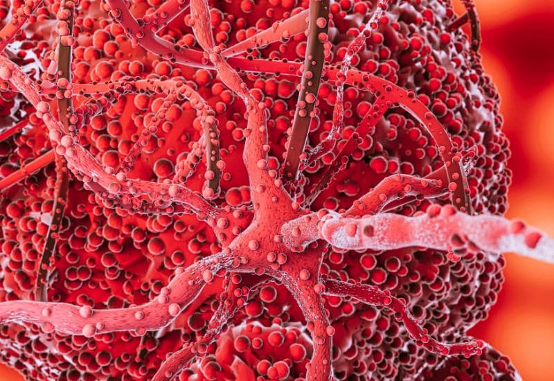 Giải đáp chi tiết thắc mắc: Huyết áp cao có nên ăn gạo lứt?